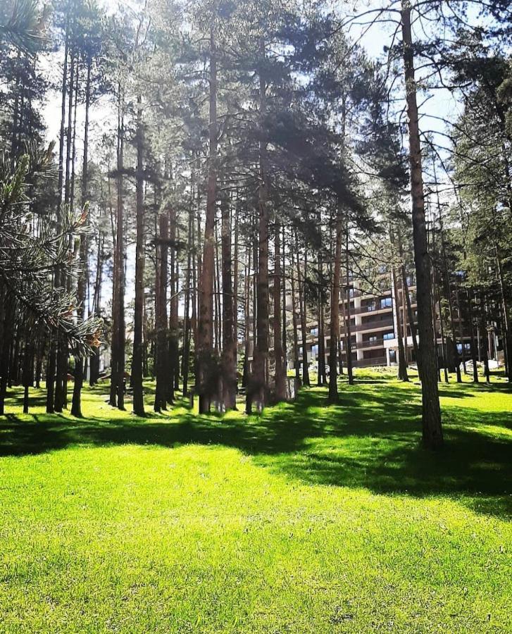 Panorama Lux Apartmani Vila Pekovic Zlatibor Esterno foto